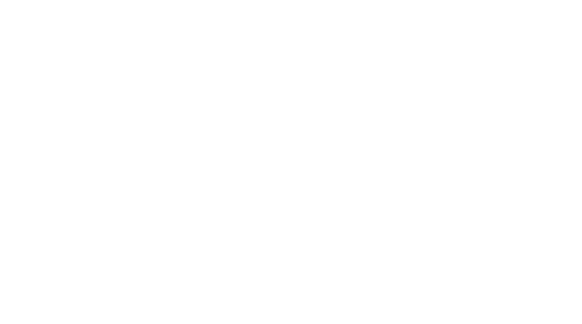 Immersive Media